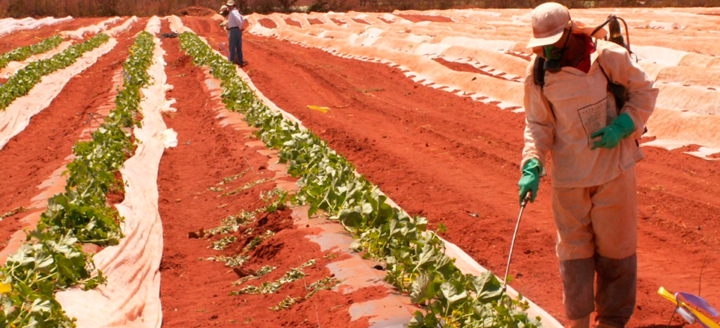 promip manejo integrado de pragas controle biologico 5