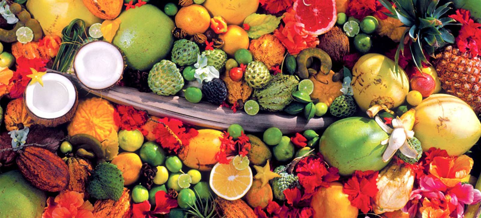 conheça as solucoes biologicas promip no simposio de frutacultura tropical que acontecera na unesp jaboticaba