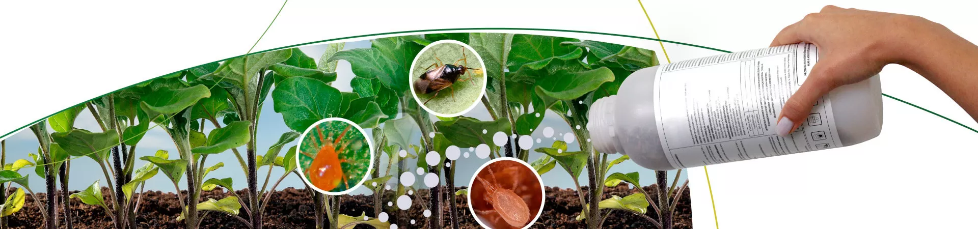 promip manejo integrado pragas controle biologico mip experience monitoramento pragas entendendo bioprodutos parte 1 header mobile