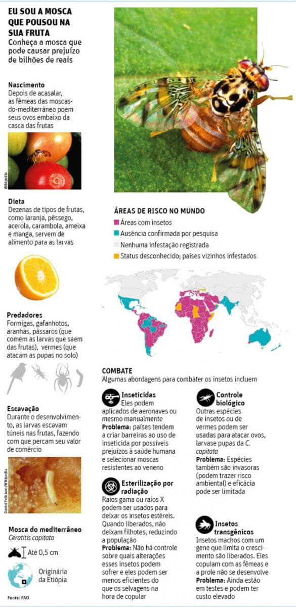 promip manejo integrado de pragas controle biologico empresa biotecnologia vender moscas transgenicas brasil (1)