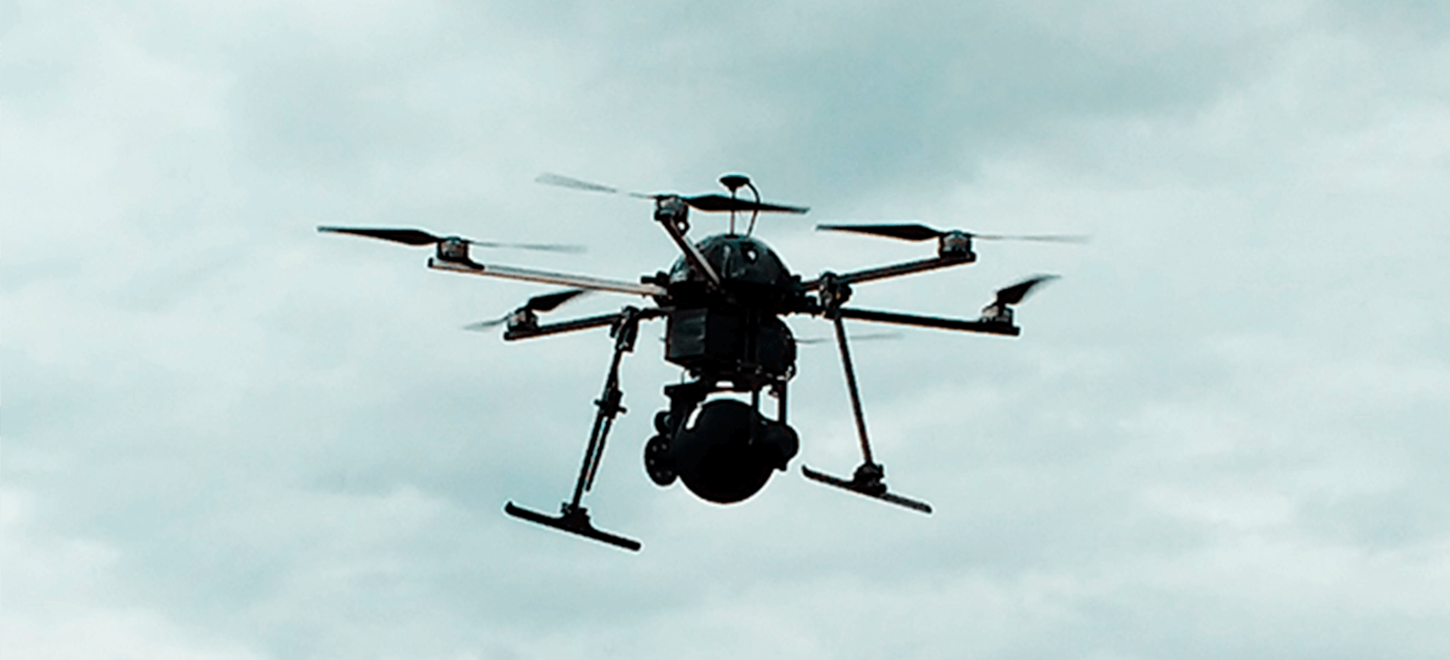 promip manejo integrado de pragas controle biologico monitoramento e o uso de biologicos melhor caminho para o manejo de helicoverpa armigera nas area